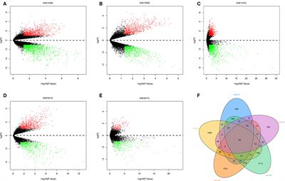 Identification of Seven Aberrantly Methylated and Expressed Genes in Adrenocortical Carcinoma